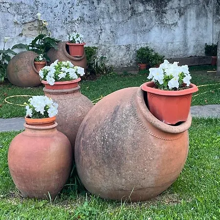 酒店 Don Julio Perales del Puerto