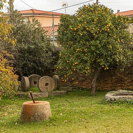 Don Julio Perales del Puerto