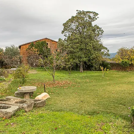 Don Julio Ξενοδοχείο