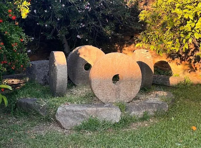 Don Julio Отель