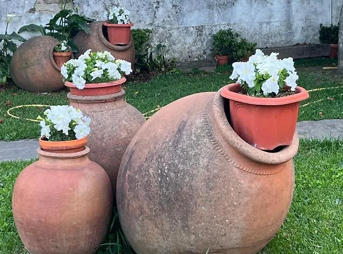 Hotel Don Julio Perales del Puerto