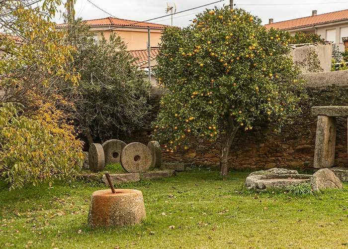 Don Julio Perales del Puerto